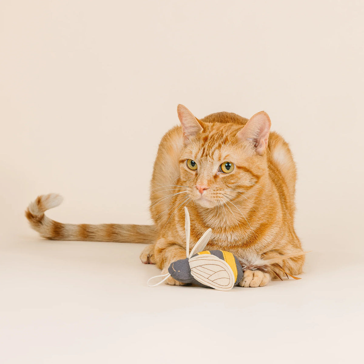 Petshop by Fringe Studio - Cat Toy Worth The Buzz Launcher