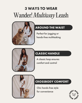 Furry Muse - Leash Wander Multiway