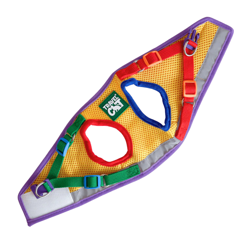 Harness & Leash Set - "The Rainbow"