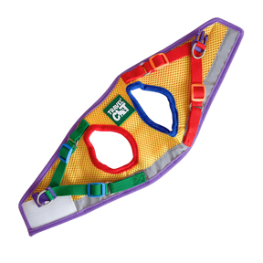 Harness & Leash Set - "The Rainbow"