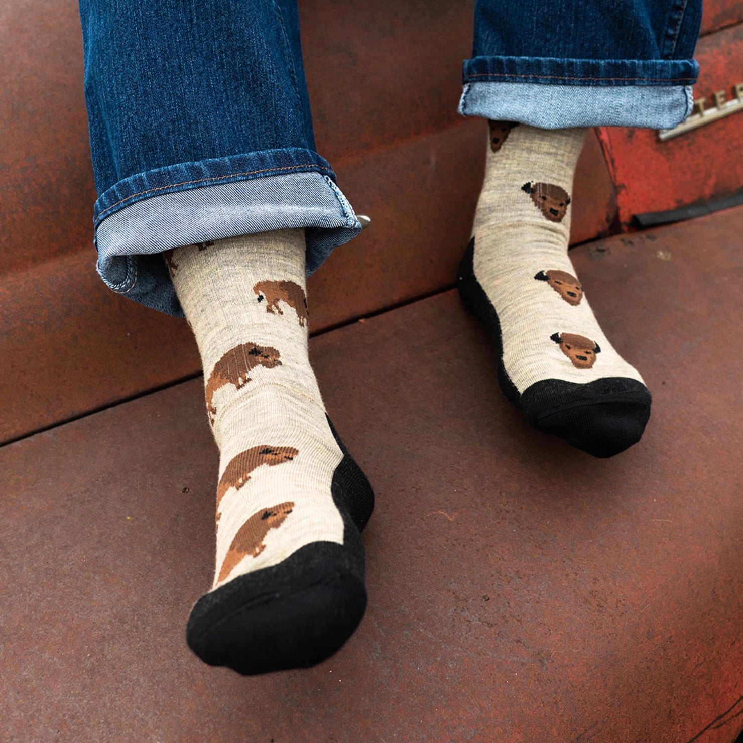 Friday Sock Co. - Men's Socks Bison Mismatched