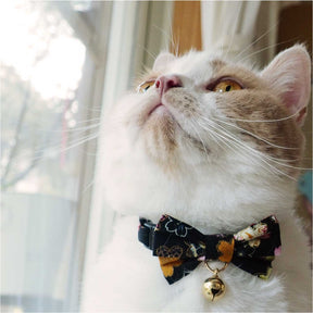 Cat Collar Kimono Bow Tie
