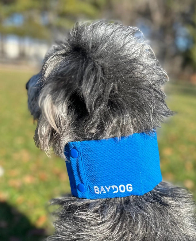 Baydog - Arctic Bay Cooling Collar