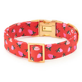 Dog Collar Berry Sweet