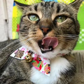 Moon-X USA - Cat Collar Kimono Ribbon