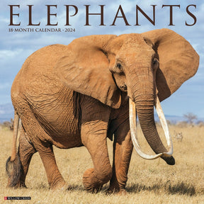2024 Elephants Calendar