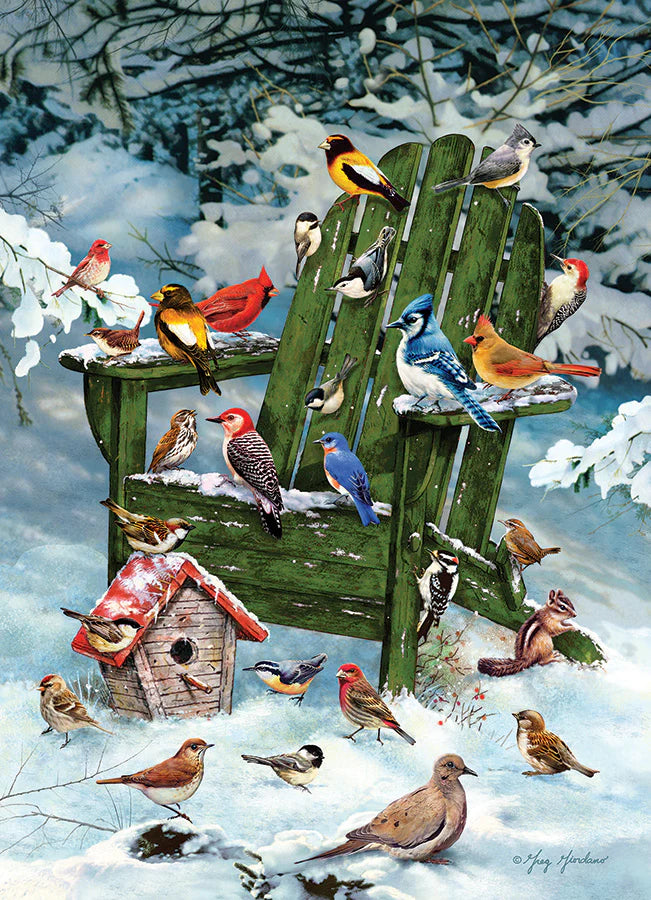 Outset Media - Puzzle For the Birds