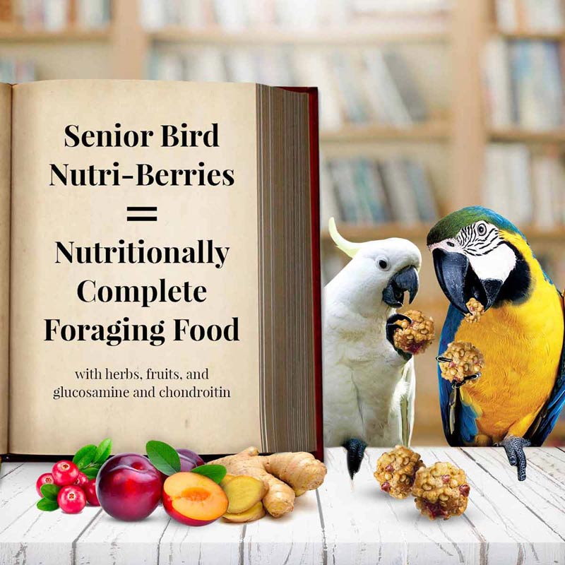 Lafeber - Nutri-Berries Senior Macaw & Cockatoo Food