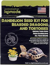 Komodo - Dandelion Seed Kit Grow Your Own Bearded for Dragons &Tortoises