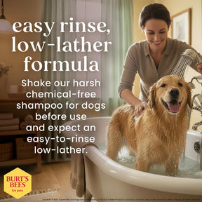 Burt's Bees - Prebiotic & Mushroom Soothing Shampoo for Dogs