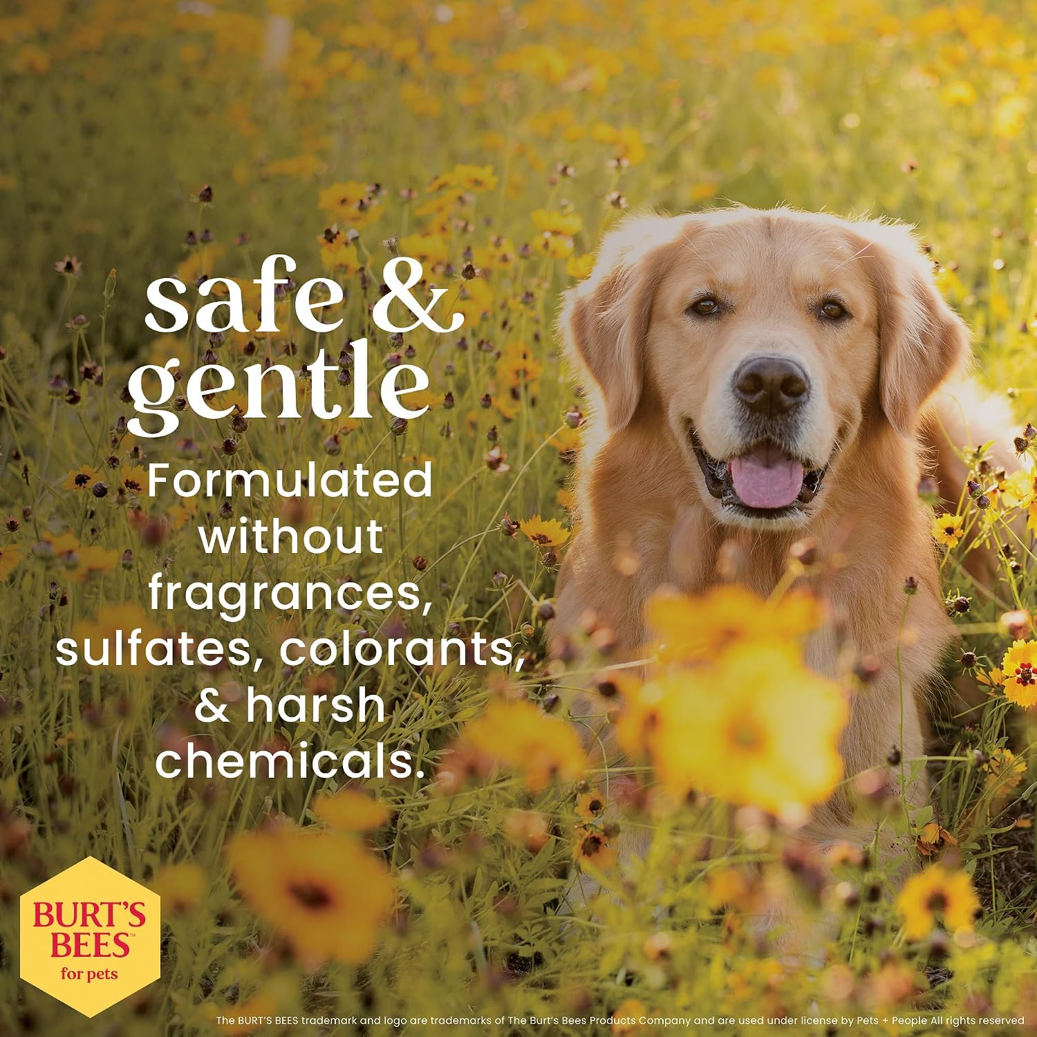 Burt's Bees - Prebiotic & Mushroom Soothing Shampoo for Dogs