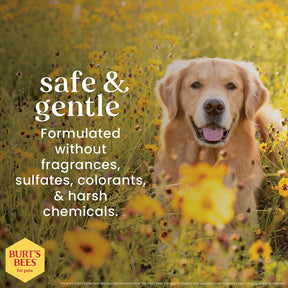 Burt's Bees - Prebiotic & Mushroom Soothing Shampoo for Dogs
