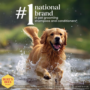 Burt's Bees - Prebiotic & Mushroom Oatmeal Shampoo for Dogs