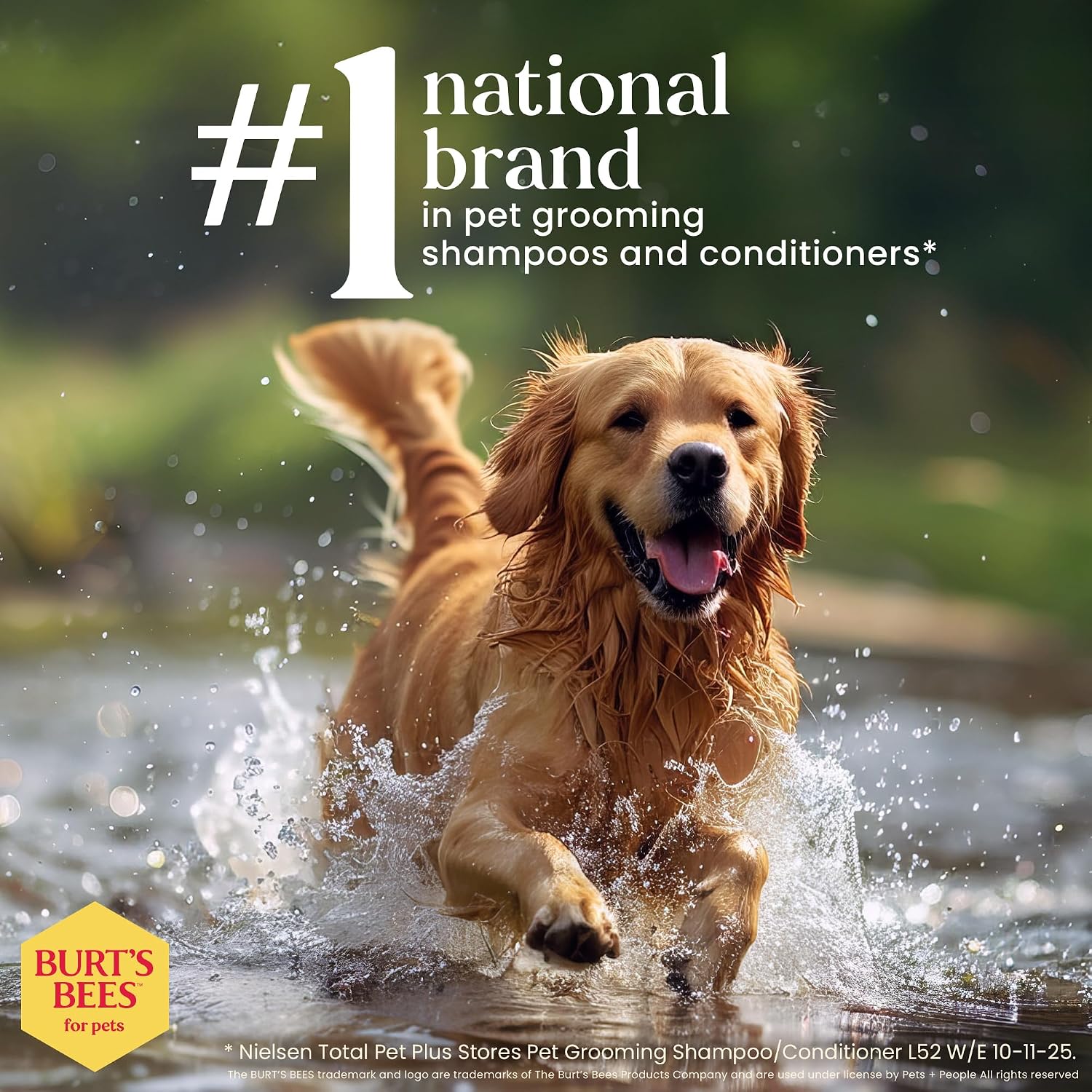 Burt's Bees - Prebiotic & Mushroom Soothing Shampoo for Dogs