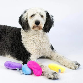 Midlee - Dog Toy Jelly Beans
