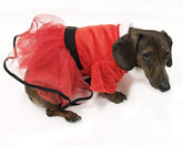 Midlee Dog Dress Mrs. Santa Tutu