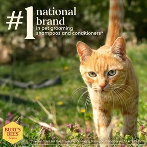 Burt's Bees - Waterless Cat Shampoo