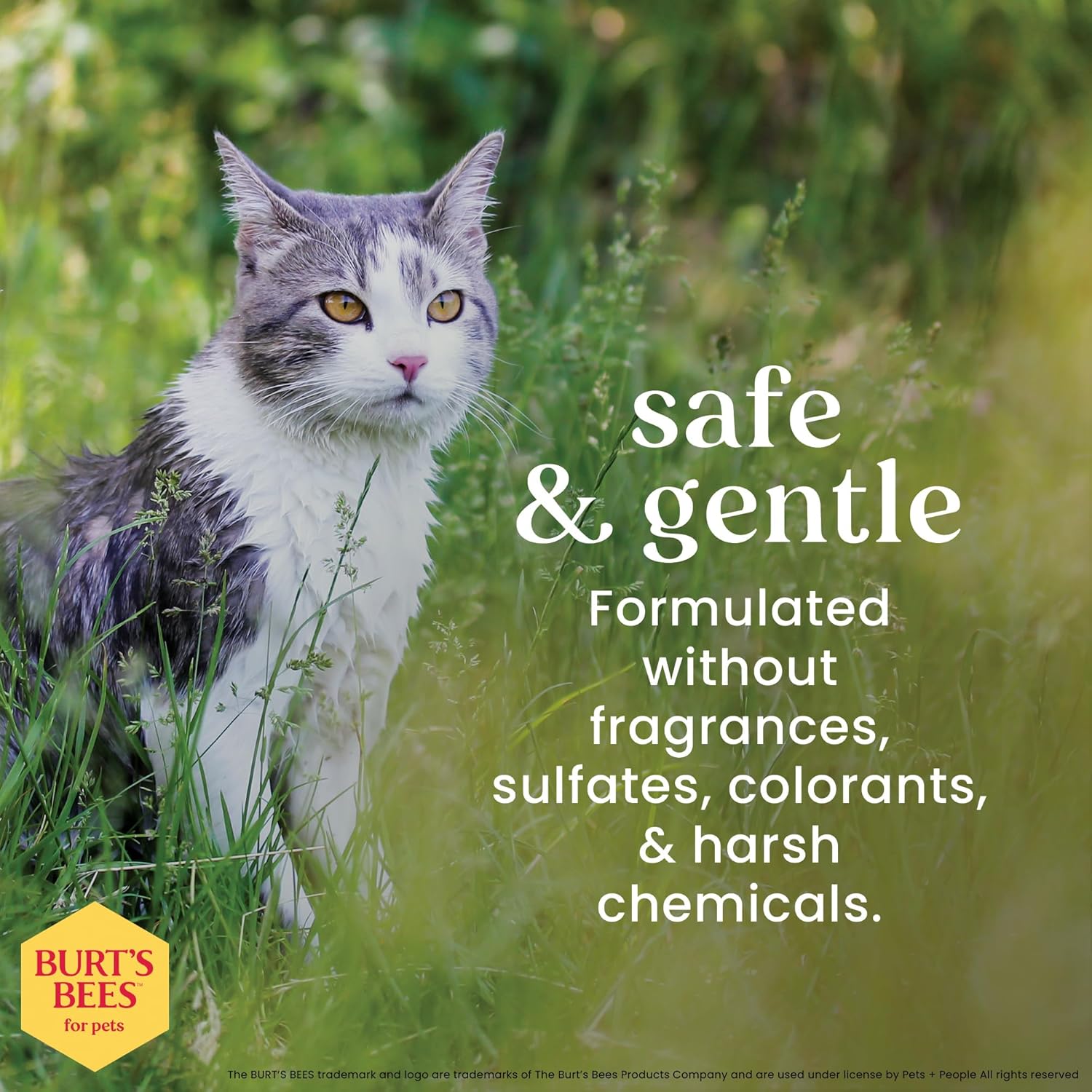 Burt's Bees - Waterless Cat Shampoo