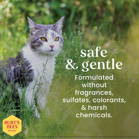 Burt's Bees - Waterless Cat Shampoo