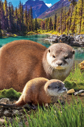 Eurographics Puzzles - Puzzle Otters