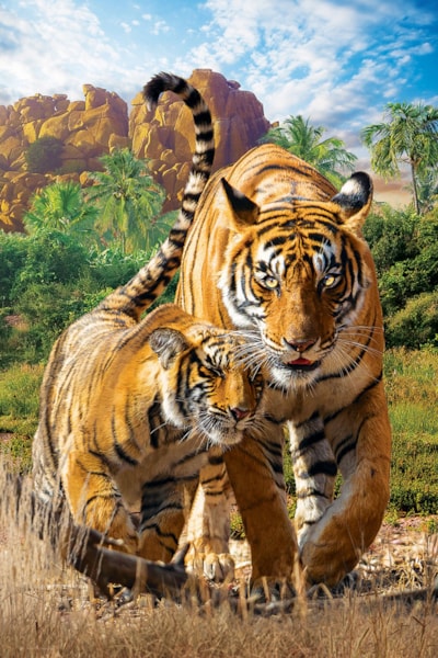 Puzzle Tigers