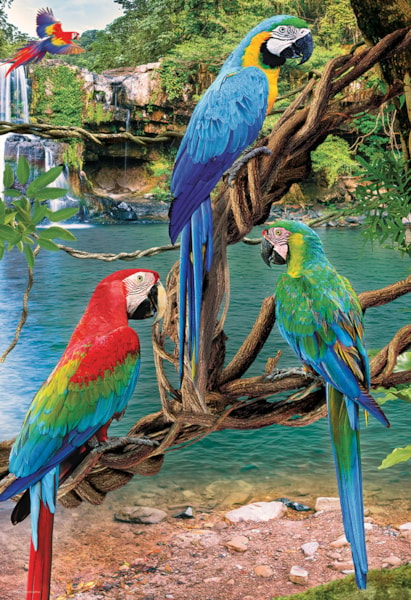 Puzzle Macaws