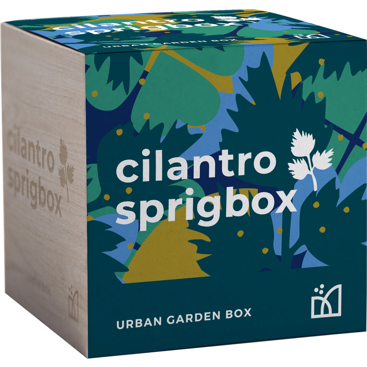 Sprigbox - Cilantro