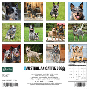 2024 Australian Cattle Dogs