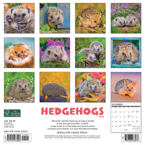 2024 Hedgehogs Calendar