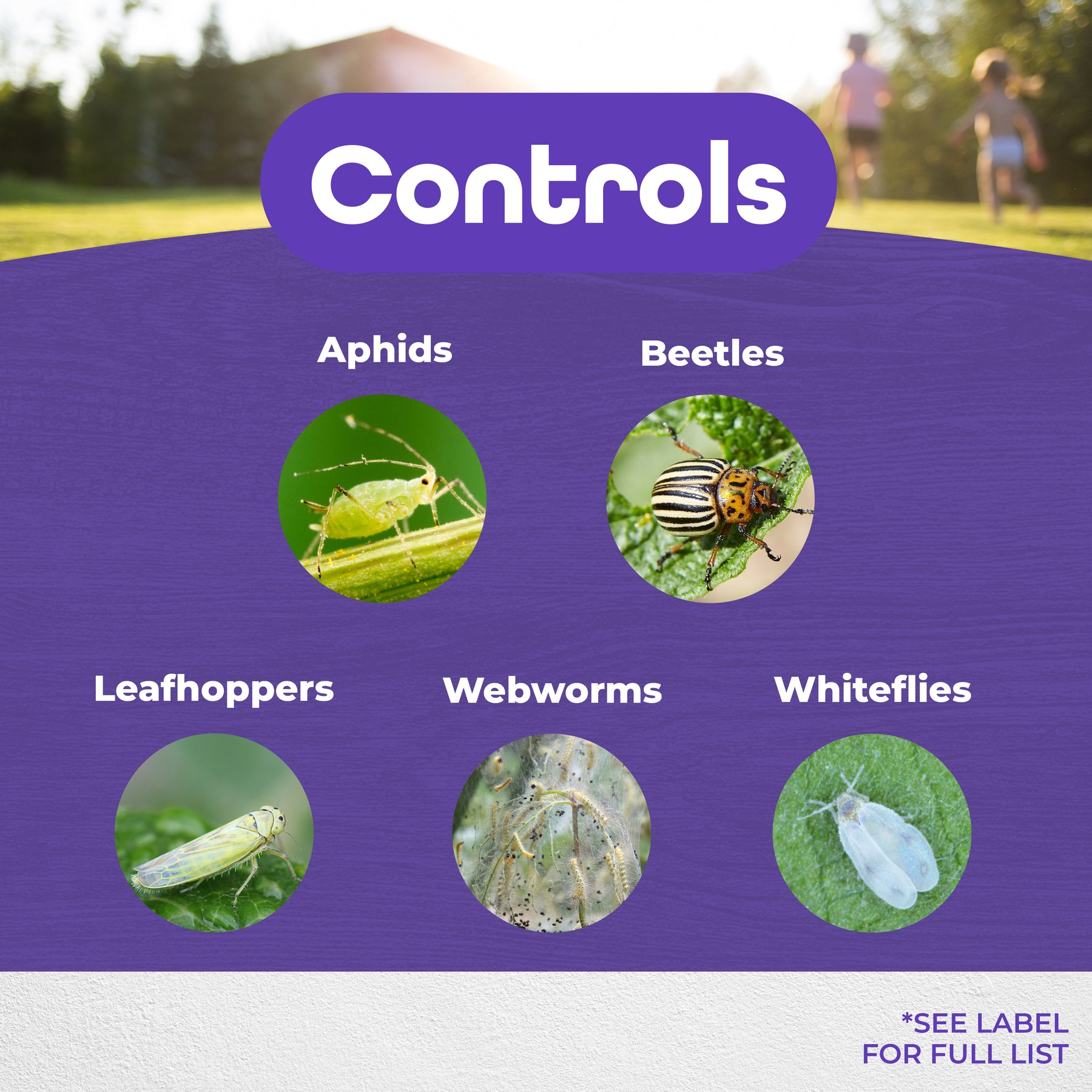 pyrethrin garden insect spray Bonide