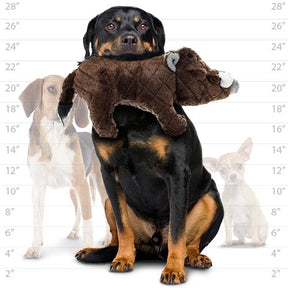 Tuffy Dog Toys - Mighty Safari Warthog