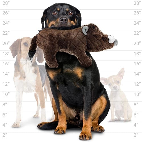 Tuffy Dog Toys - Mighty Safari Warthog