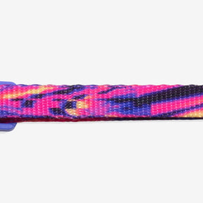 Zee.Dog - Cat Collar Error#500 Breakaway