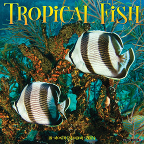 2024 Tropical Fish Calendar