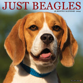 2024 Beagles Calendar