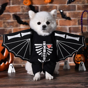 PawPaw Wholesale - Halloween Costume Bat Skeleton