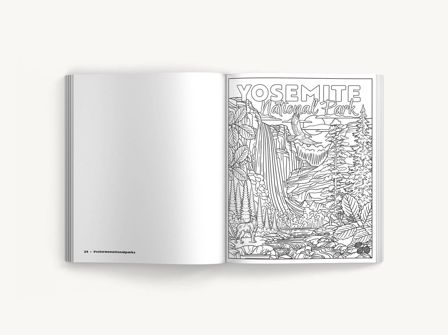 Color Me National Parks: An Adventurous Coloring Book