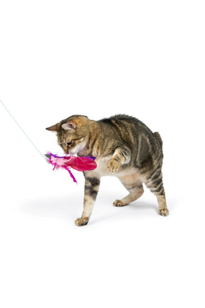 Huxley & Kent - Cat Toy Birdy Feather Teaser