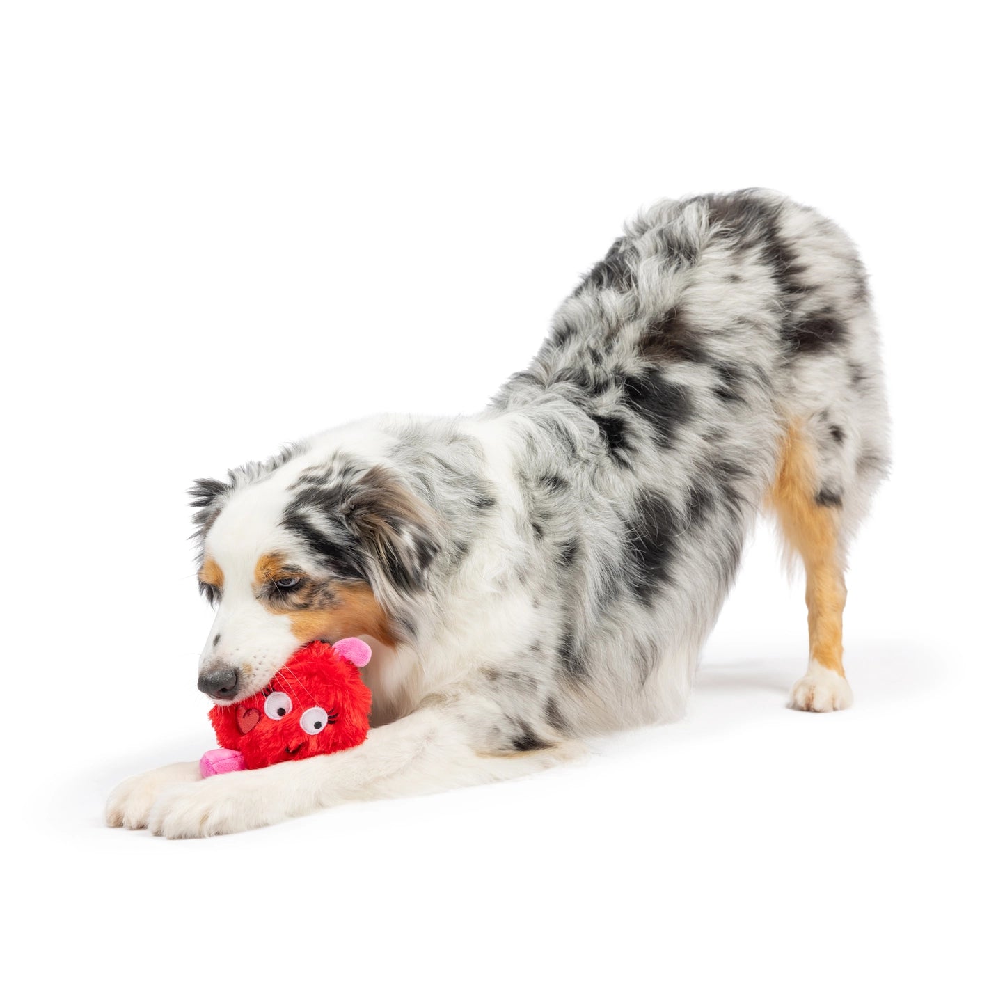 Huxley & Kent - Fur Bug Dog Toy