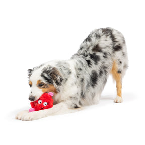 Huxley & Kent - Fur Bug Dog Toy