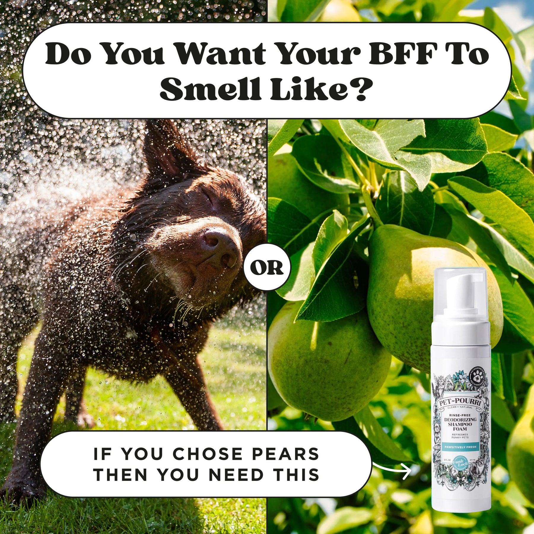 Pet-Pourri Pawsitively Fresh Rinse-Free Deodorizing Shampoo
