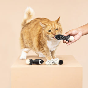 Petshop by Fringe Studio - Cat Toy 3 Pc Off The Scales