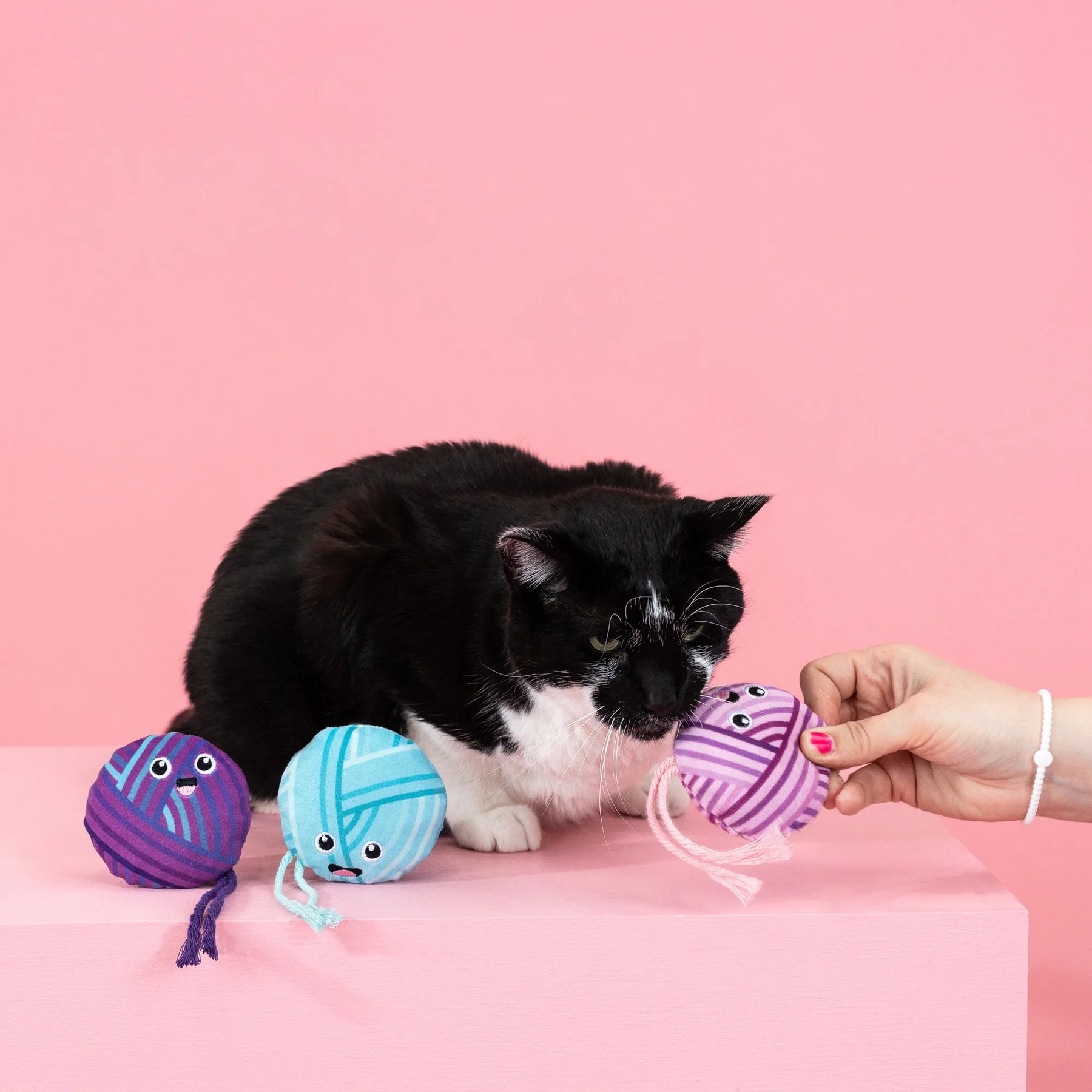 Petshop by Fringe Studio - Cat Toy Time to Unwind
