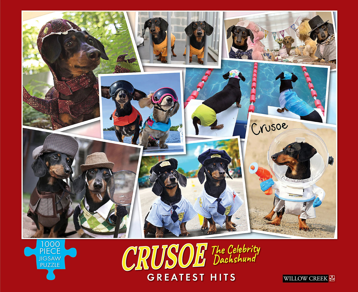 Puzzle Crusoe The Celebrity of Dachshunds - 1000 piece