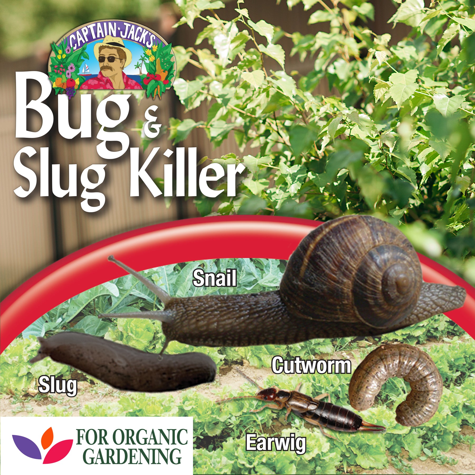 CJ Bug & Slug Killer