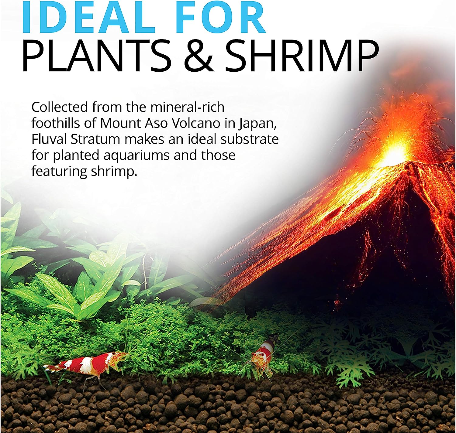 Stratum Volcanic Soil for Planted Aquariums or Shrimp