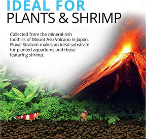 Stratum Volcanic Soil for Planted Aquariums or Shrimp