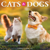 2024 Cats & Dogs Calendar