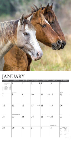 2024 Wild Horses Calendar