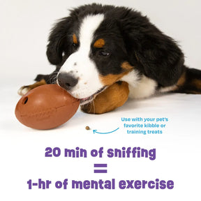 Brightkins - Football Magic Wand	Treat Dispenser